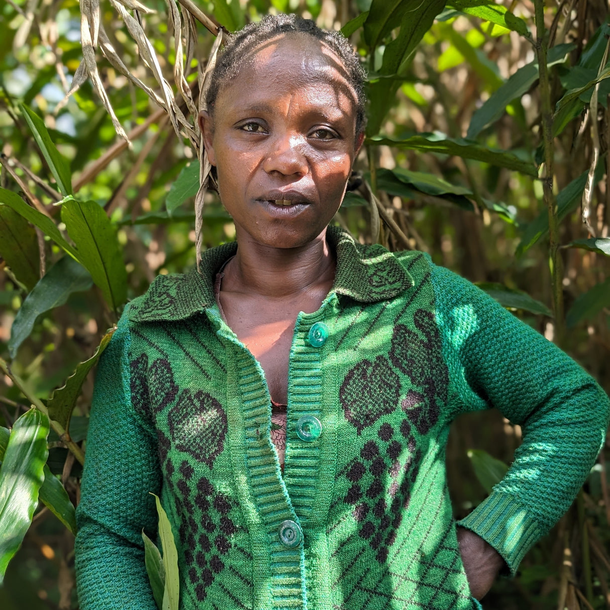 Origin Blends Collection