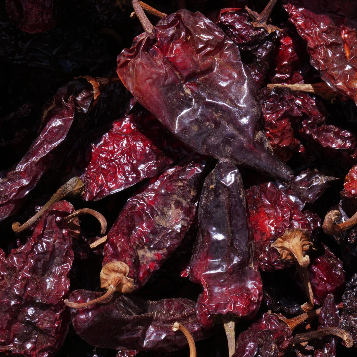 Close-up of dried Ancho chilis from Burlap & Barrel