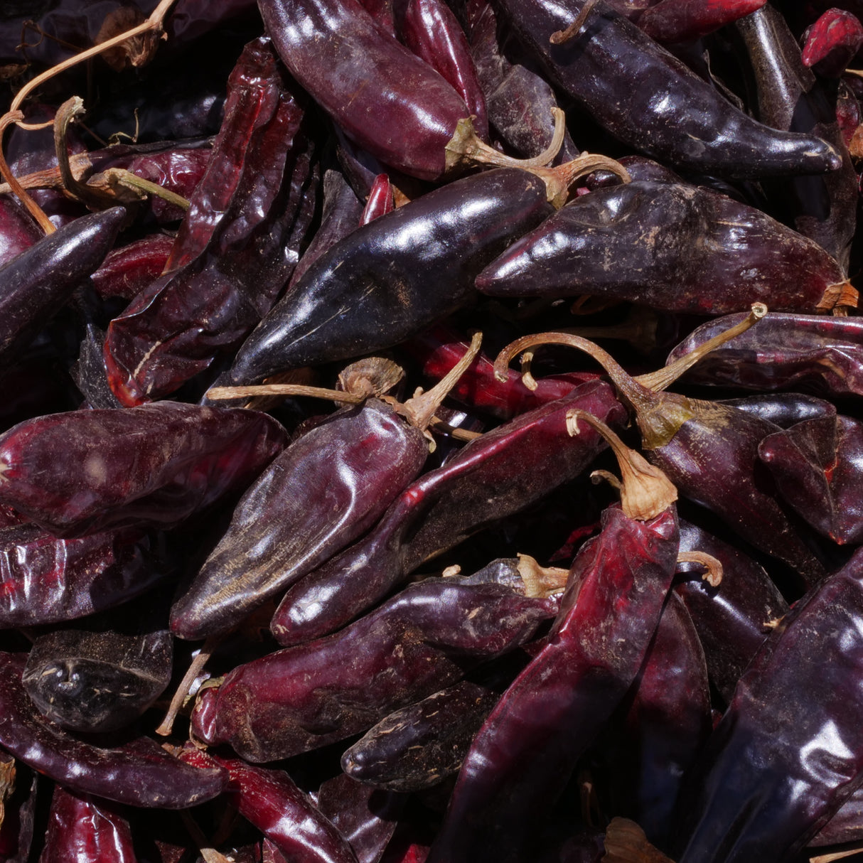 Close-up of dried Guajillo chilis from Burlap & Barrel