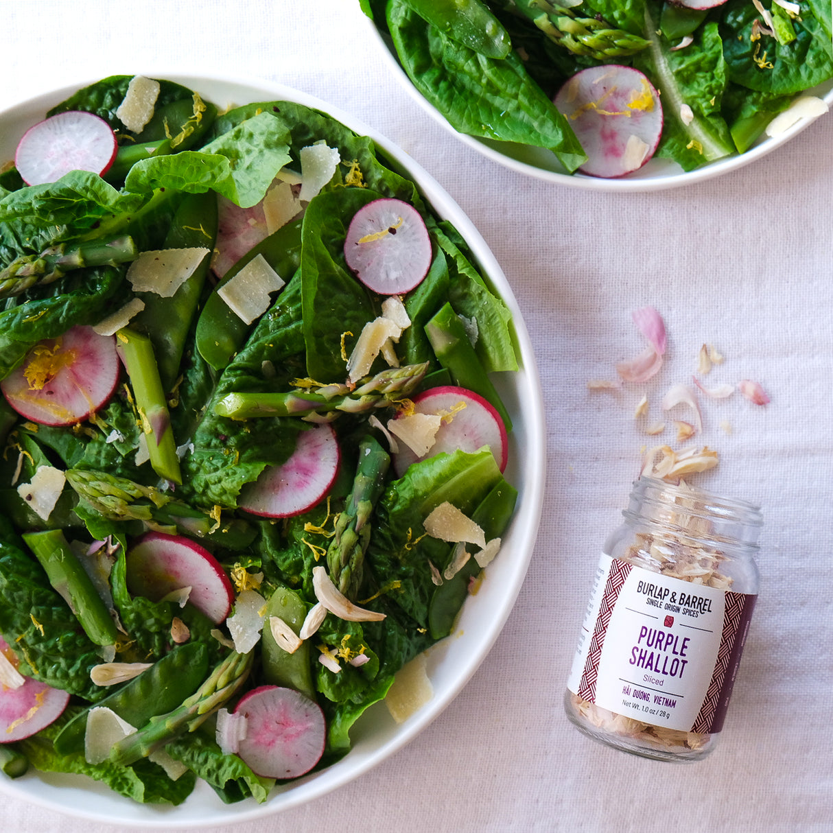 All the Alliums Collection