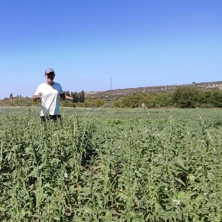 Sesame farmer, image by Burlap & Barrel