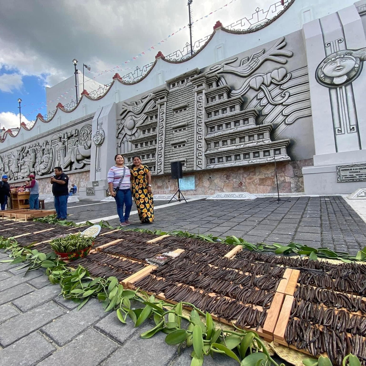 Totonaca Vanilla Powder