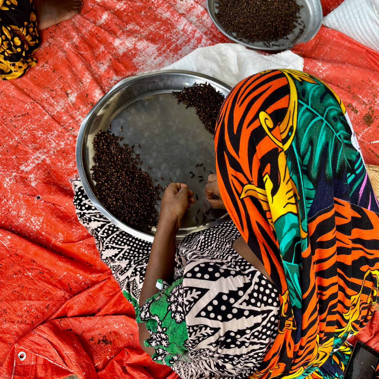Woman in Zanzibar sorting Cloves