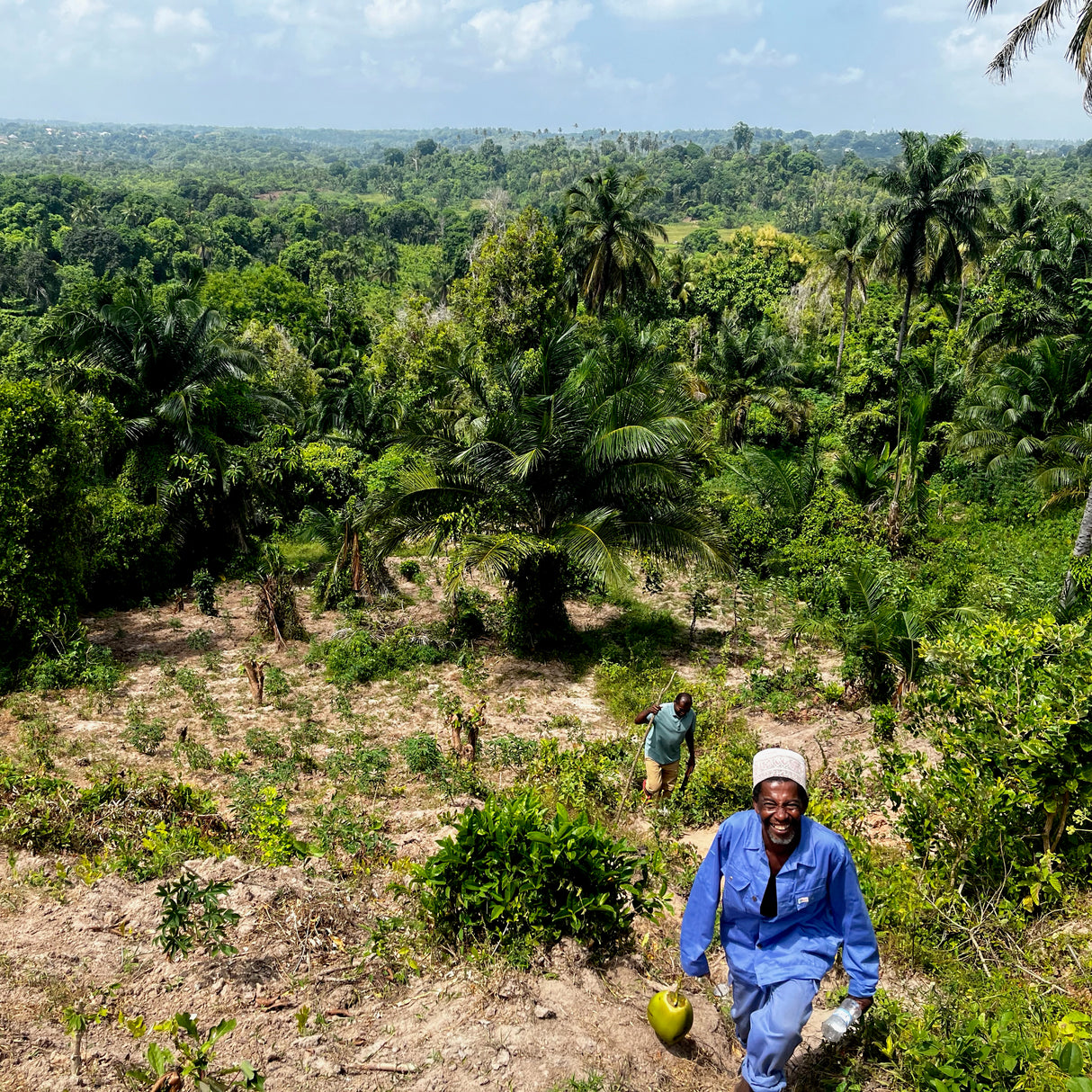 Farmers in Zanzibar Forest Farm