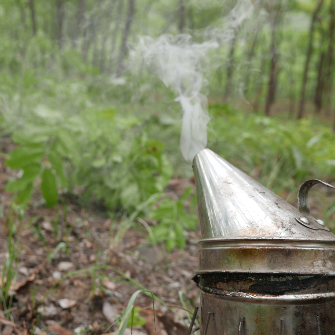 Smoked Woodland Honey