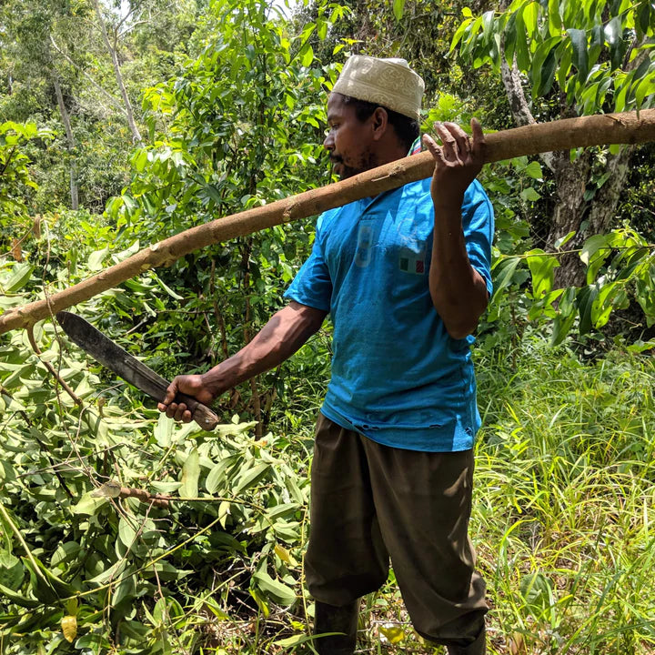 Cinnamon Collection Burlap & Barrel