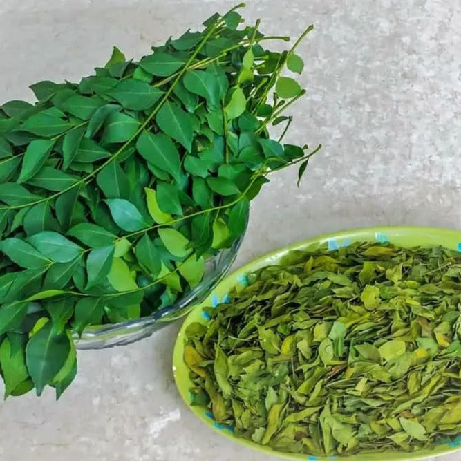 Prasad's Curry Leaf - Burlap & Barrel