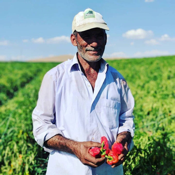 Partner Farmer, Bekir Bey with Urfa Chili in Turkey from Burlap & Barrel