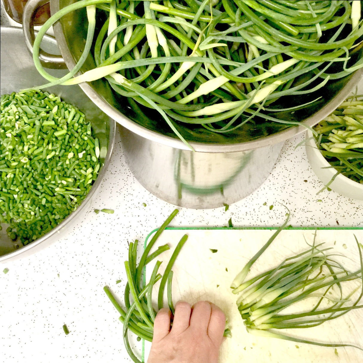 Garlic Scape Pickle - Burlap & Barrel