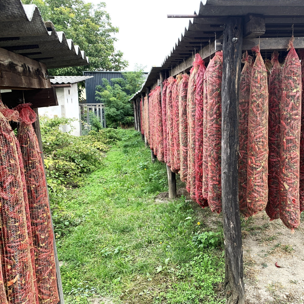 Szegedi 178 Hot Paprika - Burlap & Barrel