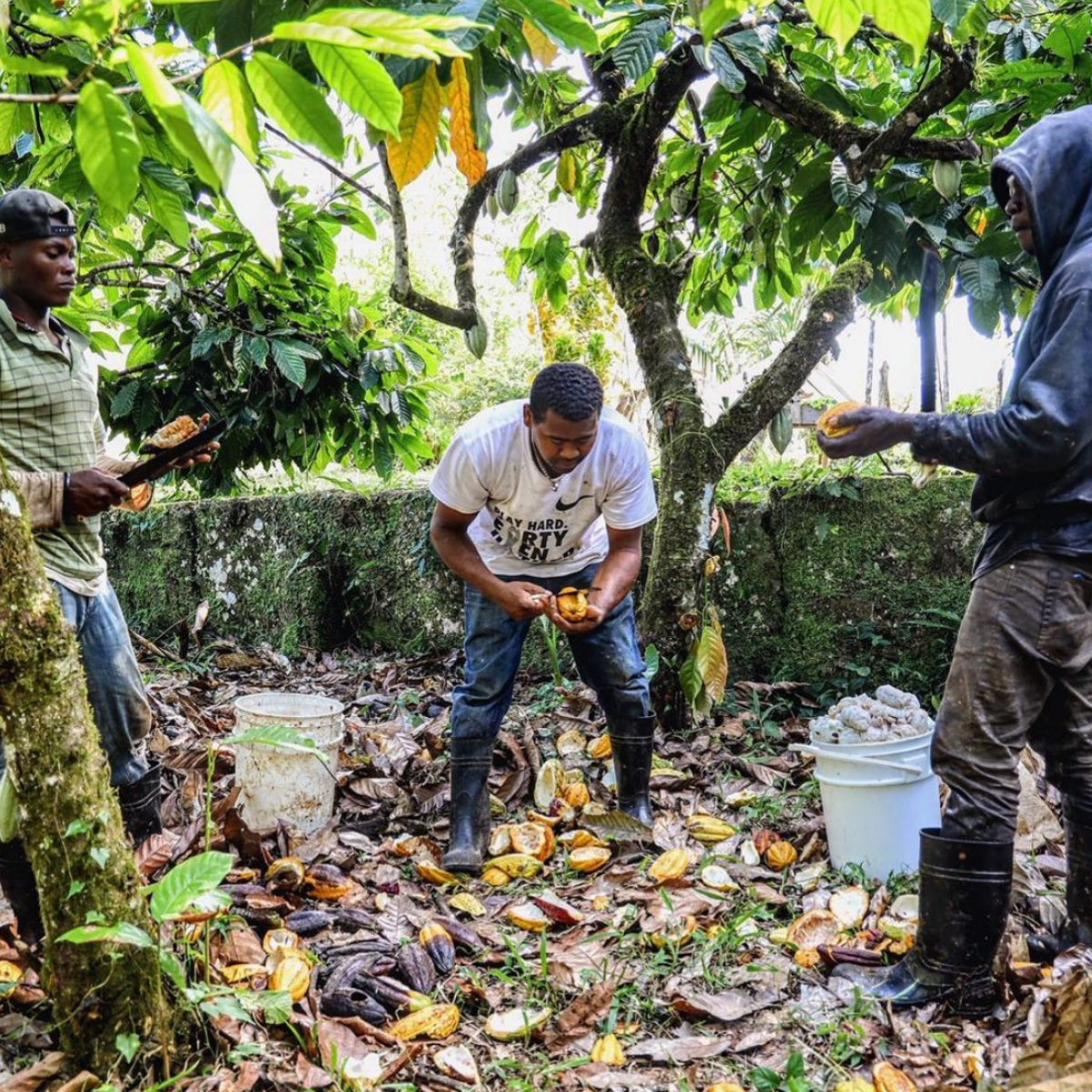 Urfa Chili Chocolate Bar *Collaboration* - Burlap & Barrel