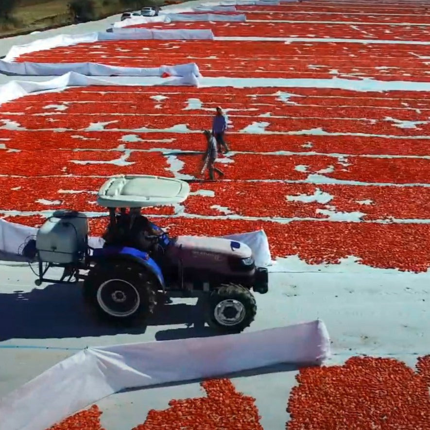 Sun-Dried Tomato Powder - Burlap & Barrel