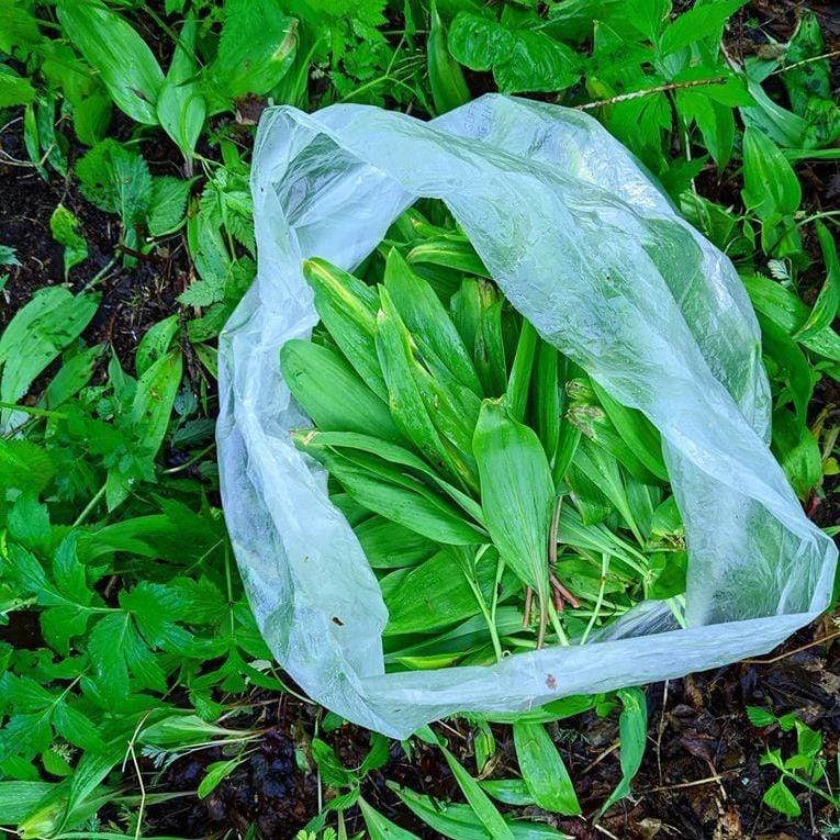 Wild Ramps - Burlap & Barrel