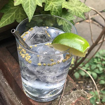 Herbaceous Gin-Tonic