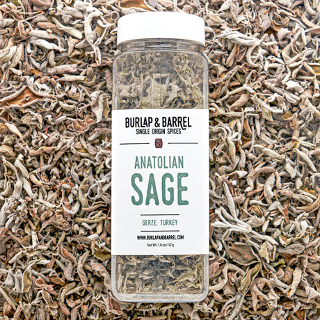 Anatolian Sage