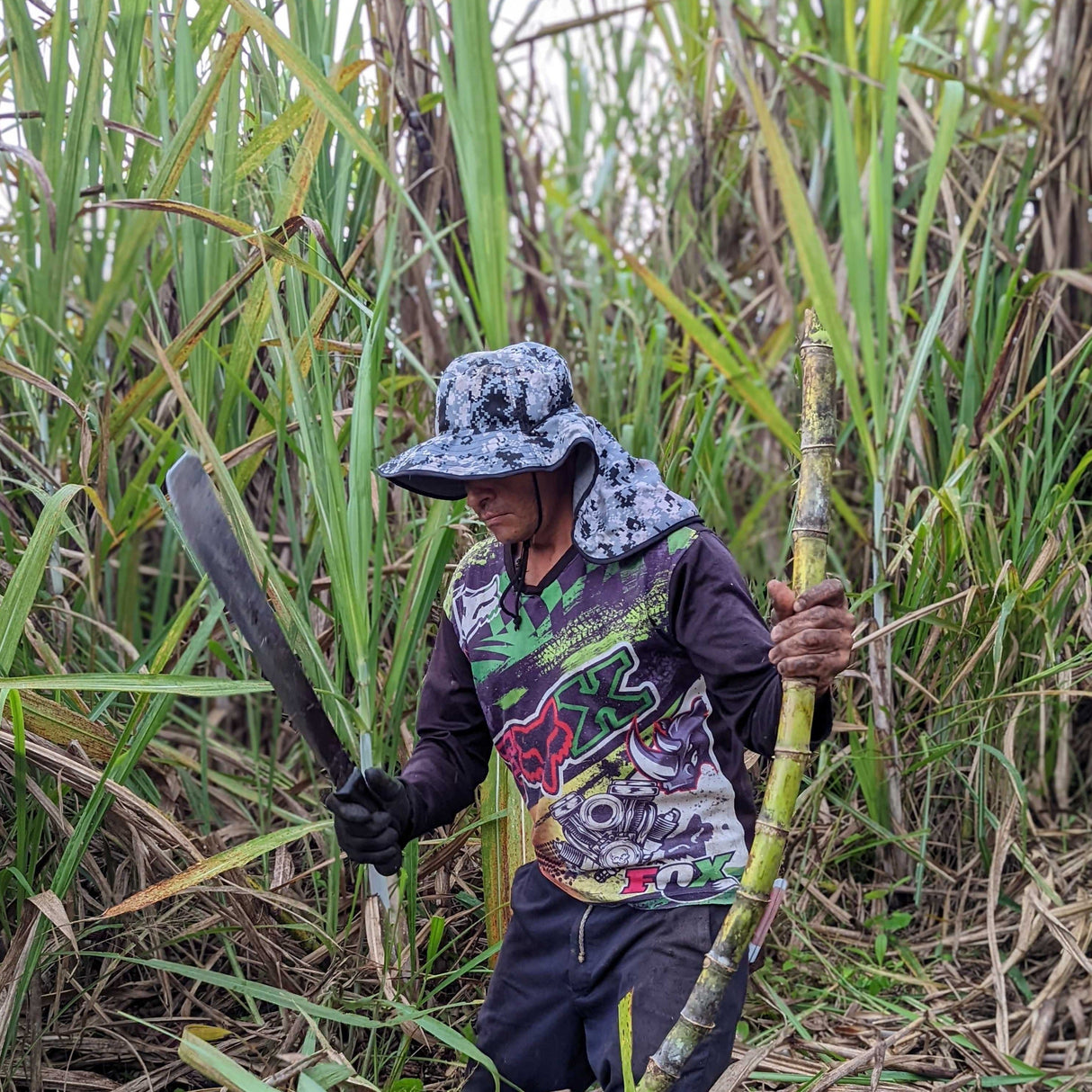 Panela Cane Sugar
