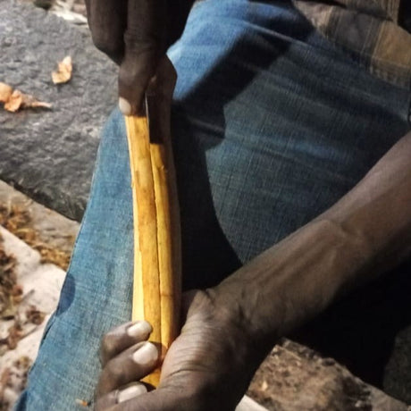 Cinnamon Quills