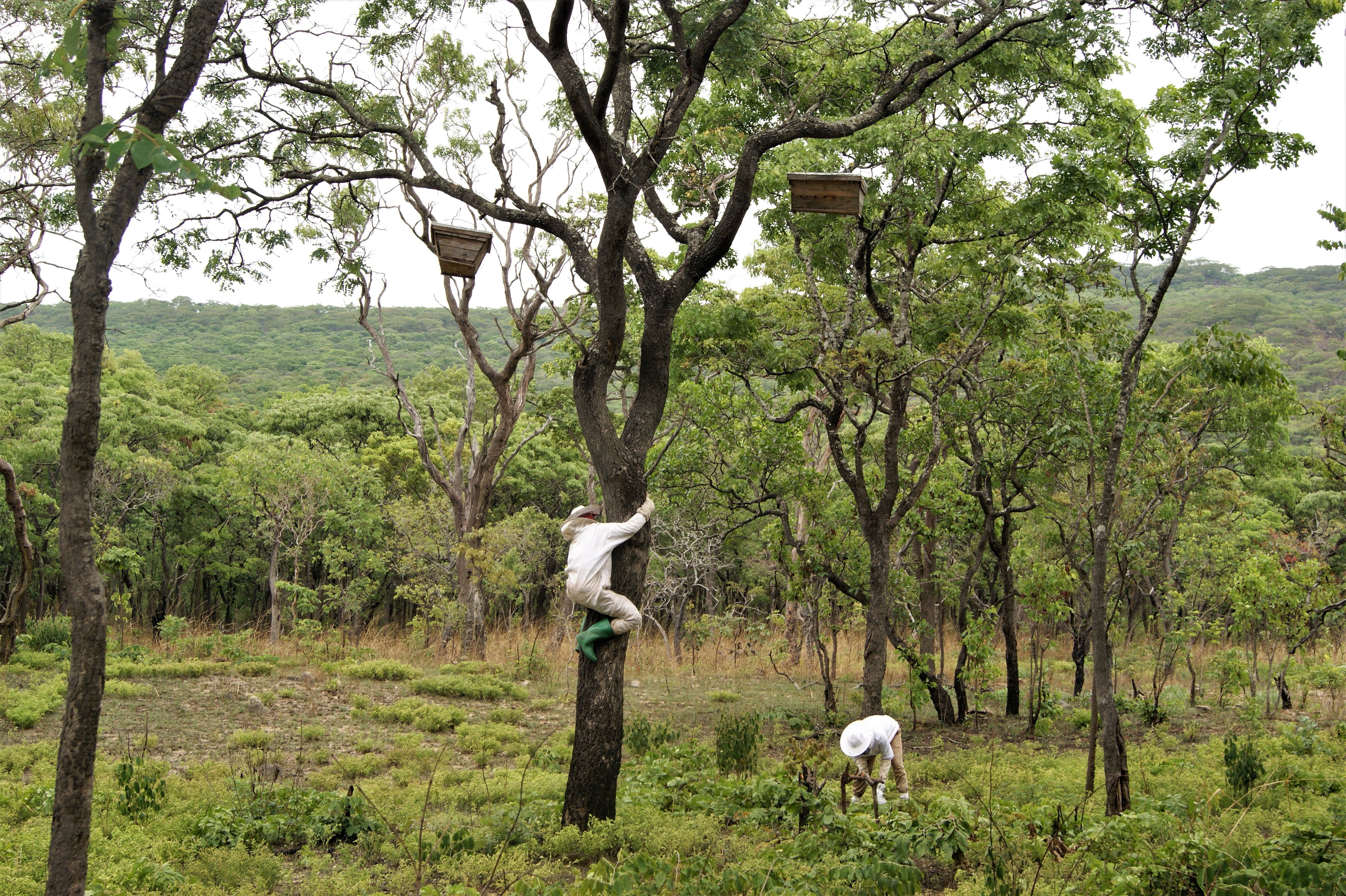 Two people in a forested area with trees and greenery.