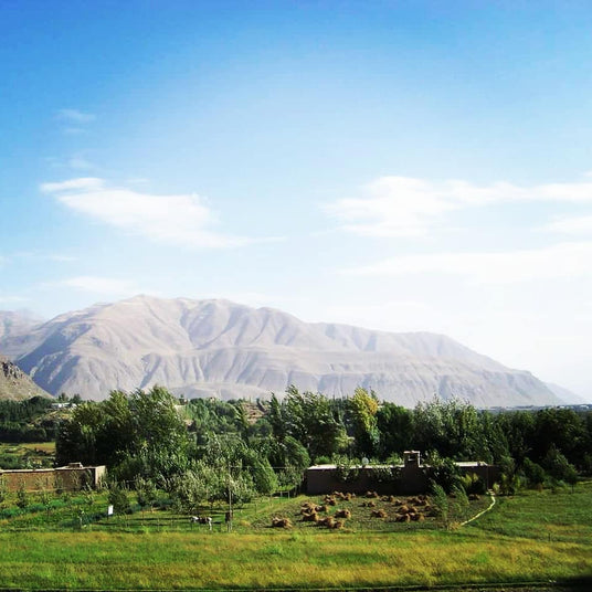 Landscare in Badakshan , Afghanistan by Burlap & Barrel 
