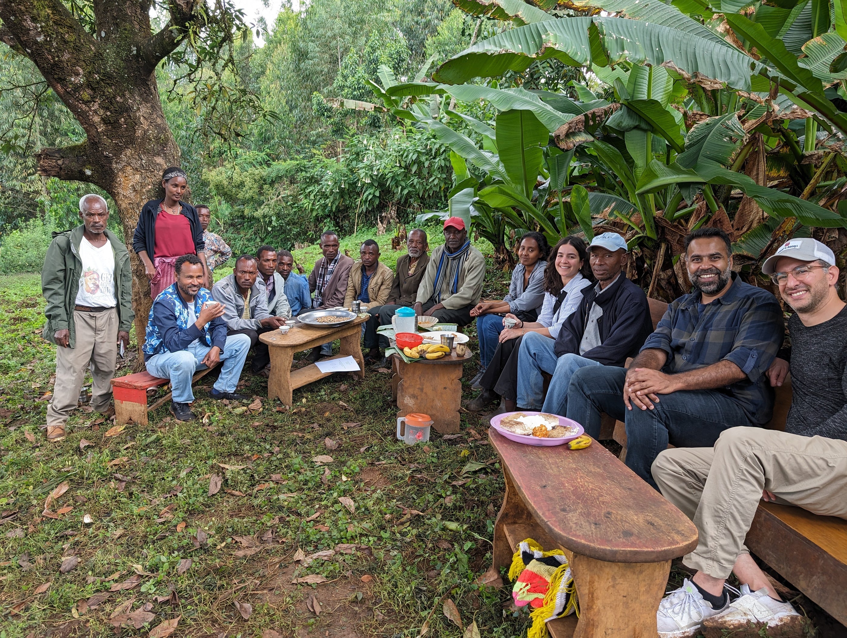 Burlap & Barrel Partner farmers in Ethiopia sitting outdoors in a forested area with wooden furniture and food items.