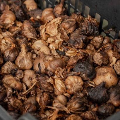 Black Garlic before grinding from Burlap & Barrel