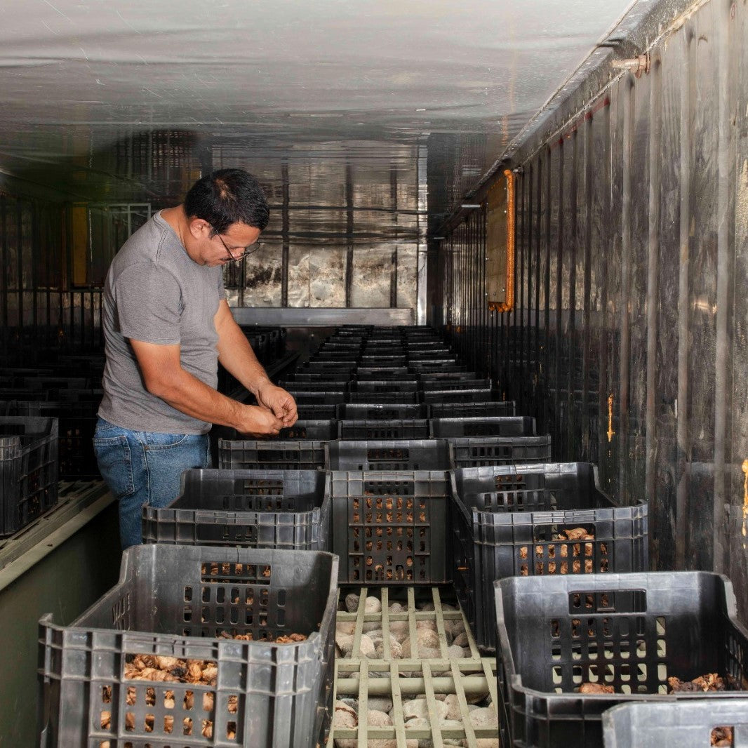 Edwin getting read to grind black garlic from Burlap & Barrel