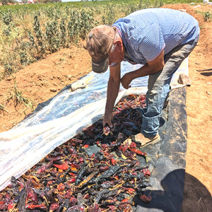 Don Jesús sorting dried chillis
