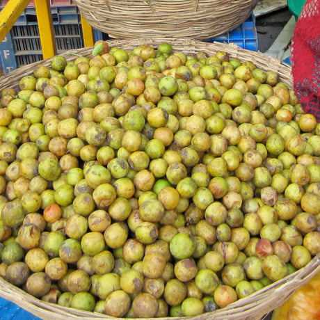 Sour Plums after harvest before being dried and turned into powder in Nepal from Burlap & Barrel