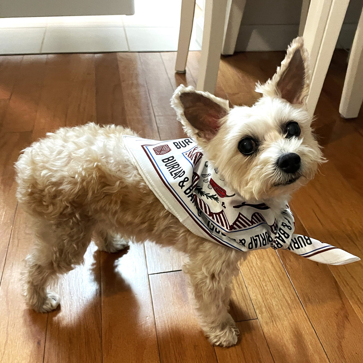 Spice Bandana
