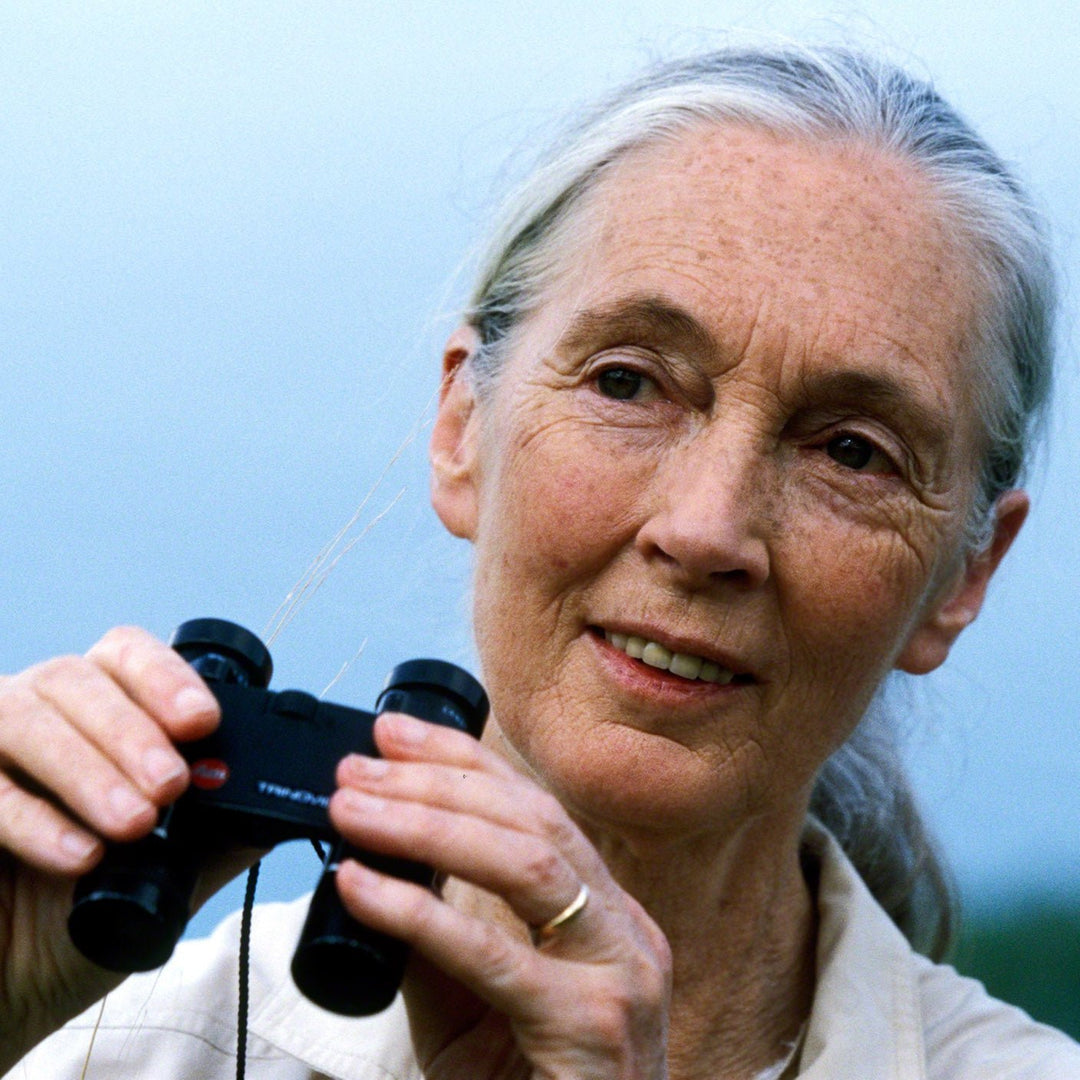 Jane Goodall with binoculars