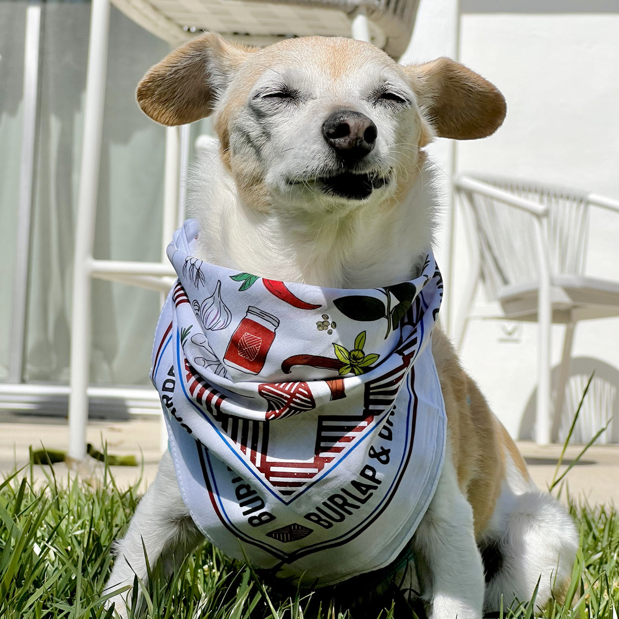 Spice Bandana