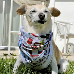 Spice Bandana