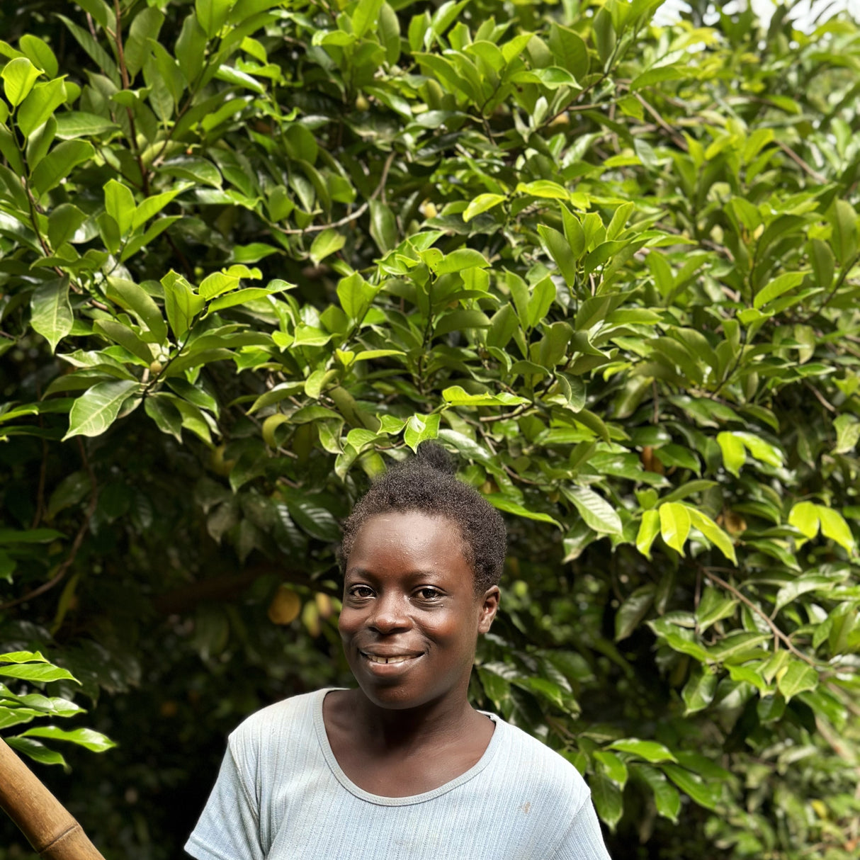 Ground Grenada Gold Nutmeg