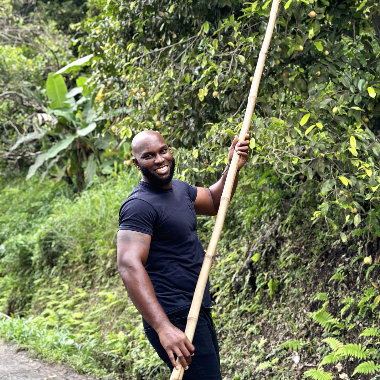Ground Grenada Gold Mace