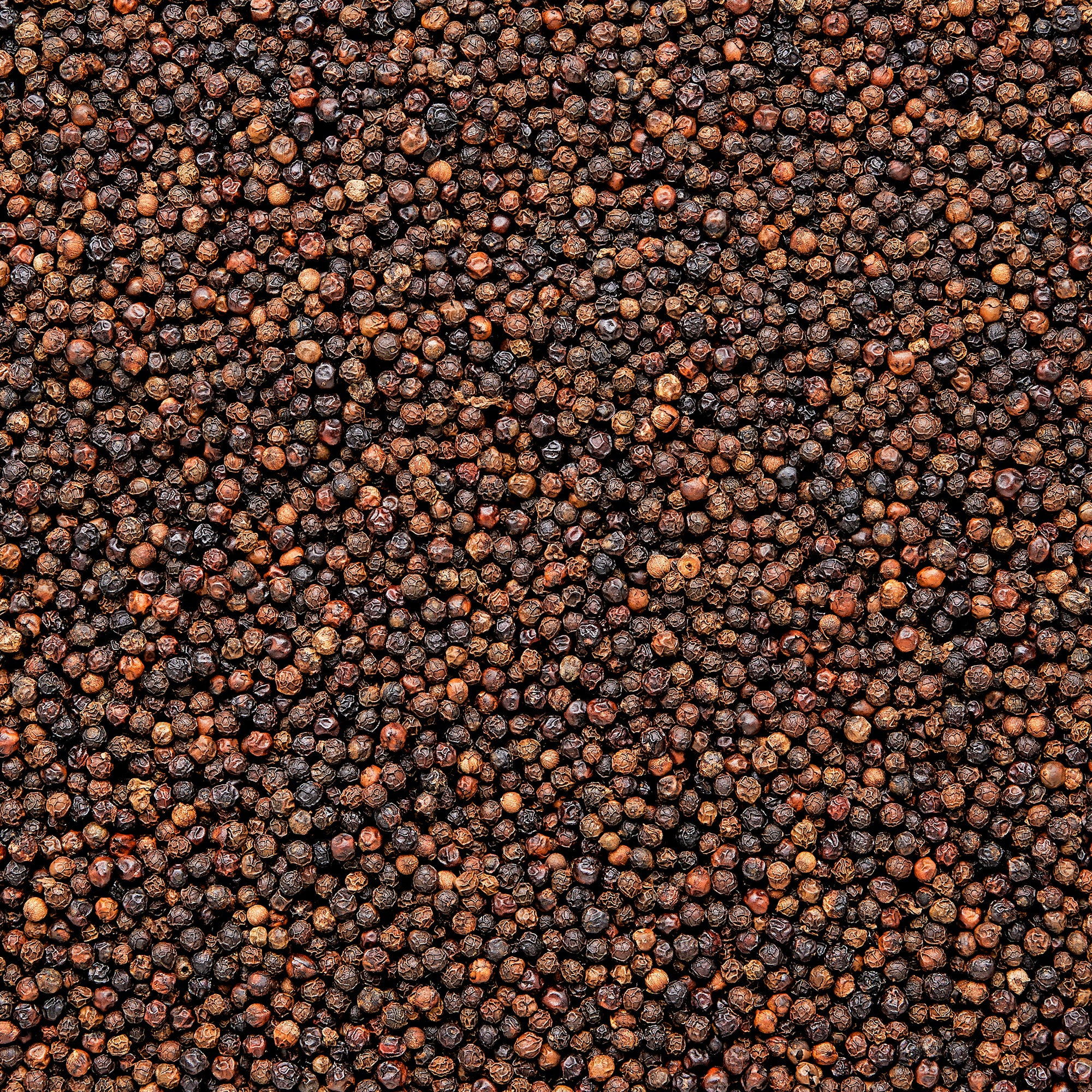 Purple Peppercorns bulk shot