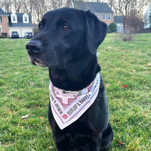 Spice Bandana