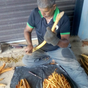 Processing Cinnamon in Sri Lanka-Burlap & Barrel
