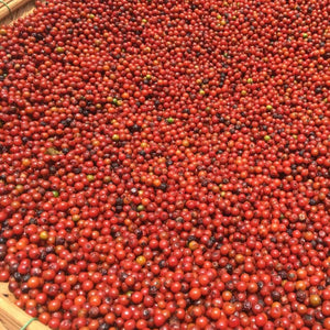 Purple Peppercorns