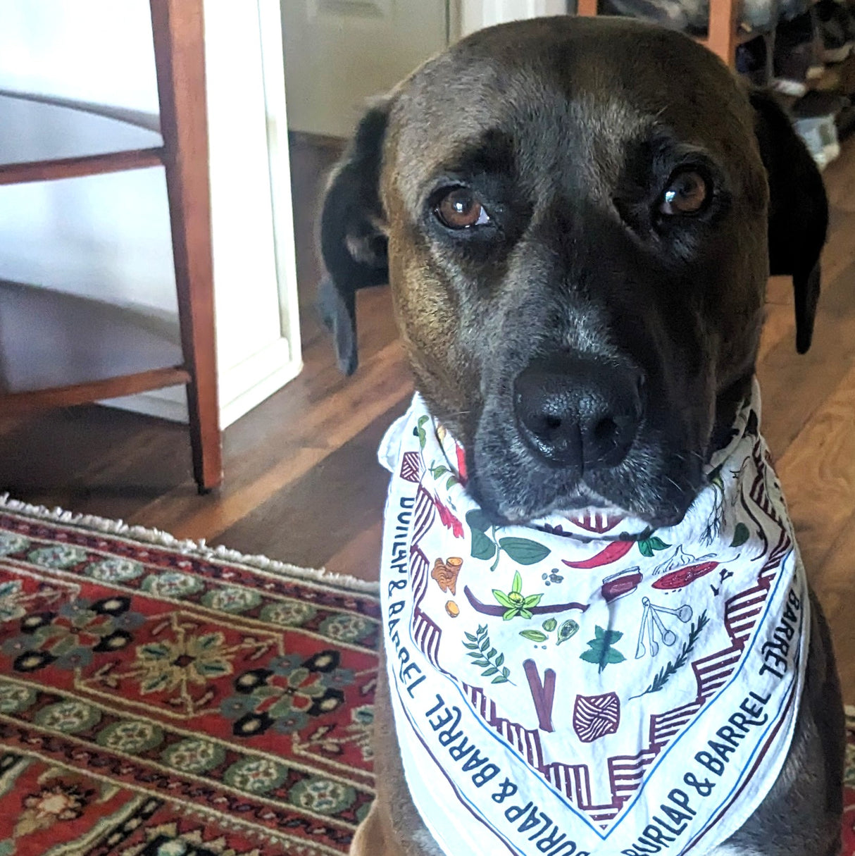Spice Bandana