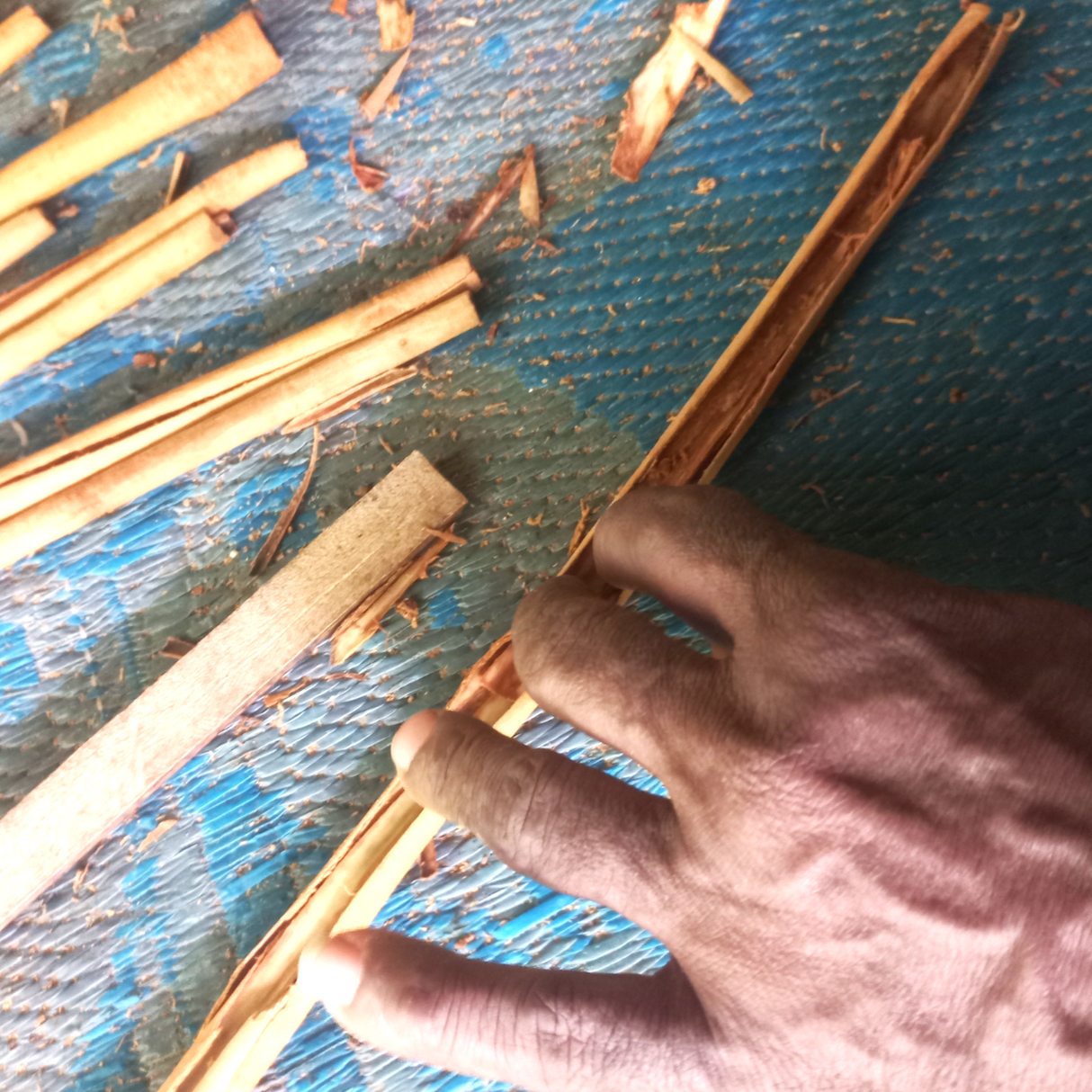 Cinnamon Quills