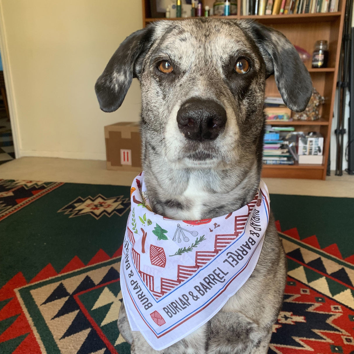 Spice Bandana
