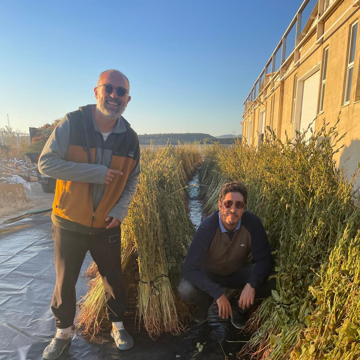 Sesame farmers, image by Burlap & Barrel