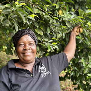 Ground Grenada Gold Nutmeg