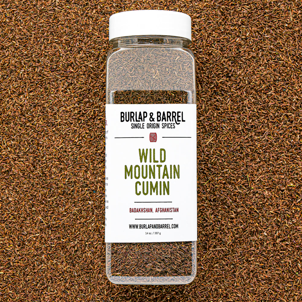 Wild Mountain Cumin