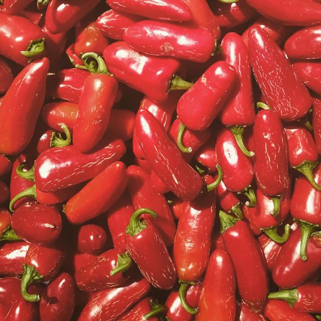 Red Jalapeño Chili Flakes