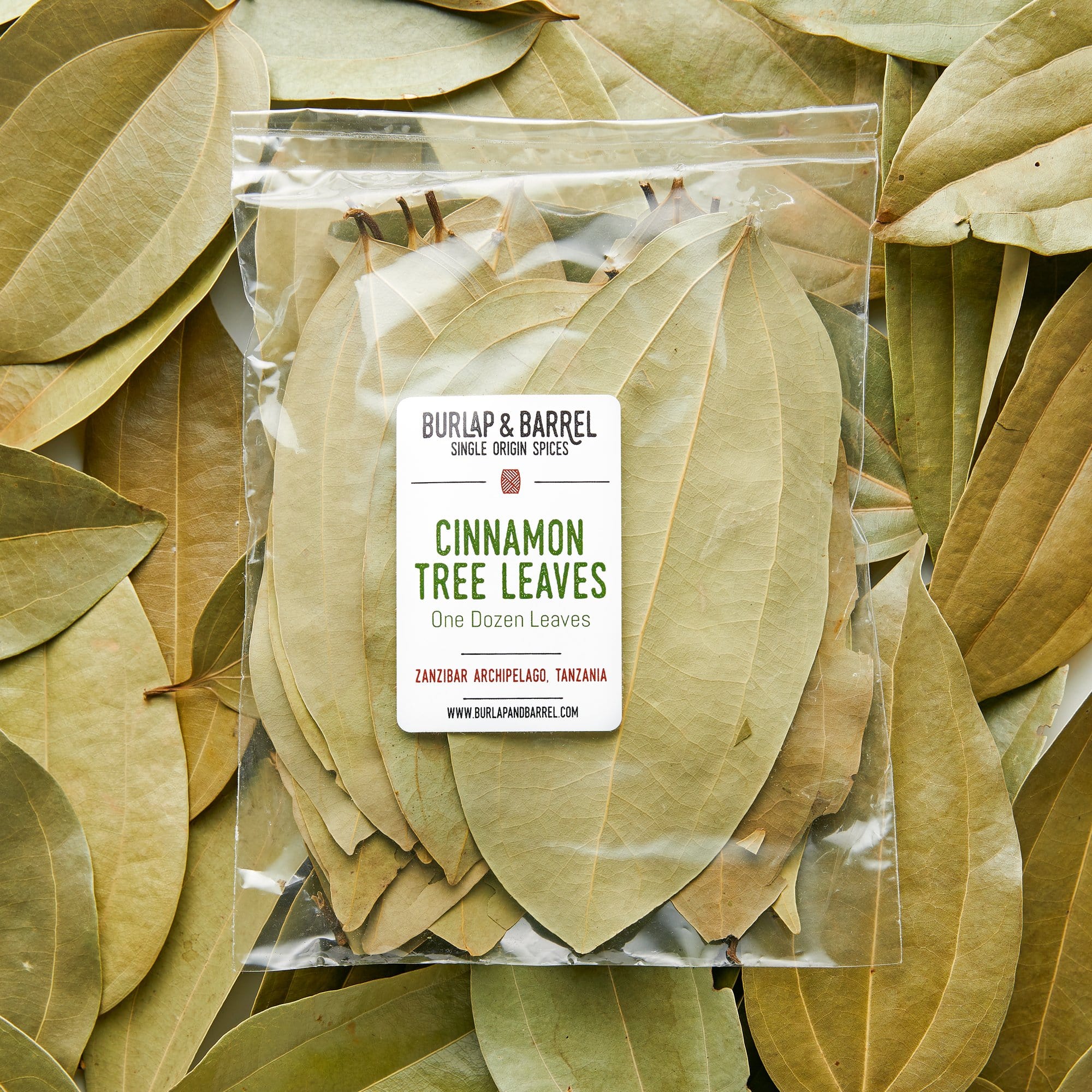 Cinnamon Tree Leaves Burlap & Barrel