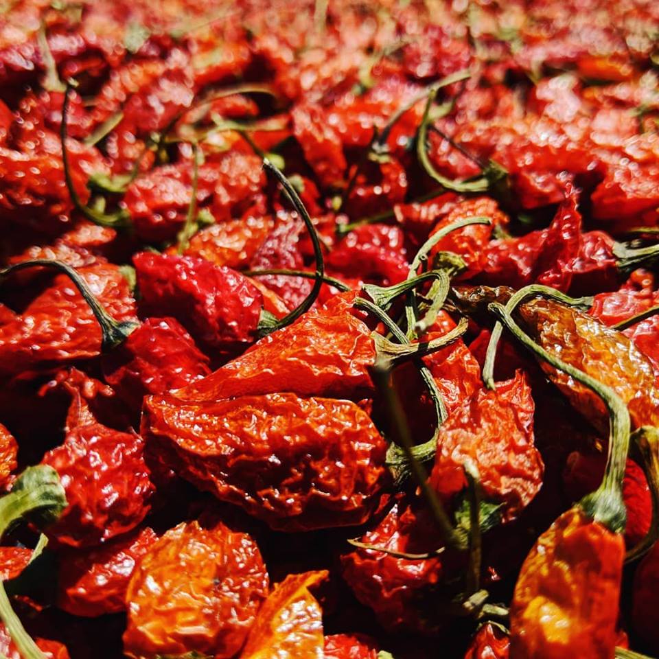 Cobanero Chili - Burlap & Barrel Single Origin Spices