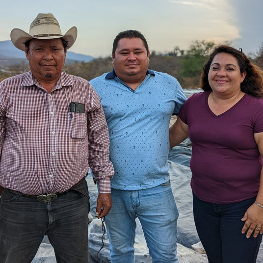 Emilio, Jonathan and Cecilia, who run the black lime drying facility in Alta Verapaz, Guatemala