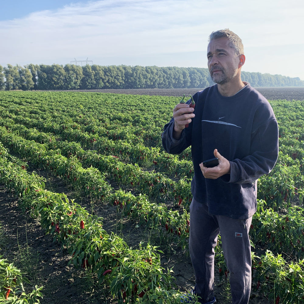 Hungarian Paprika farmer, Péter 