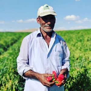 Partner Farmer Bekir Bey in Urfa Turkey on Black Urfa Chili Farm from Burlap & Barrel